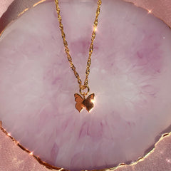 Wanderlust Necklace (4426316906562)