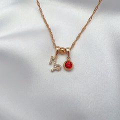 Capricorn in January Necklace